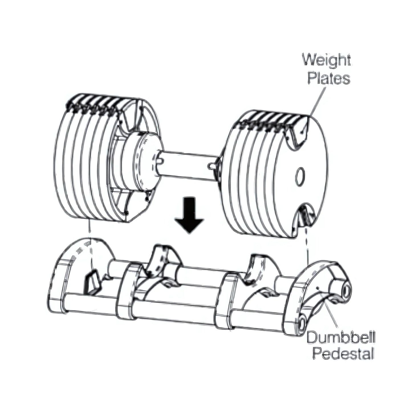 Adjustable Dumbbells