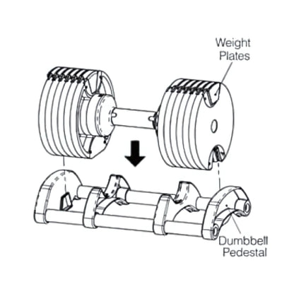 Adjustable Dumbbells